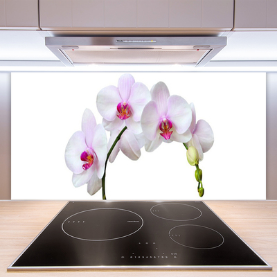 Moderne keuken achterwand Orchidee orchideeën bloemen