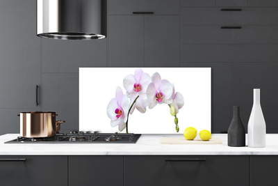 Moderne keuken achterwand Orchidee orchideeën bloemen