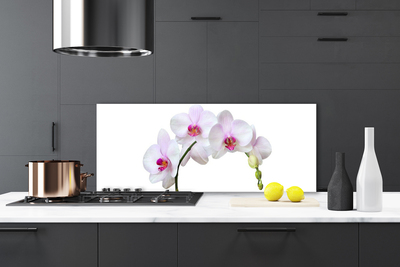 Moderne keuken achterwand Orchidee orchideeën bloemen