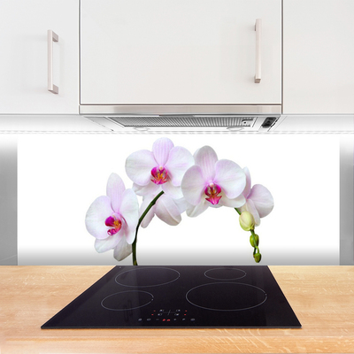 Moderne keuken achterwand Orchidee orchideeën bloemen