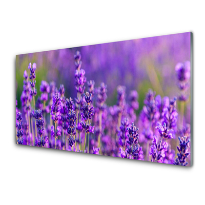 Moderne keuken achterwand Paarse lavendel veld