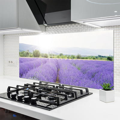 Moderne keuken achterwand Lavendel veld natuur weide
