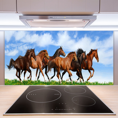 Moderne keuken achterwand Paarden in een galop in het weiland