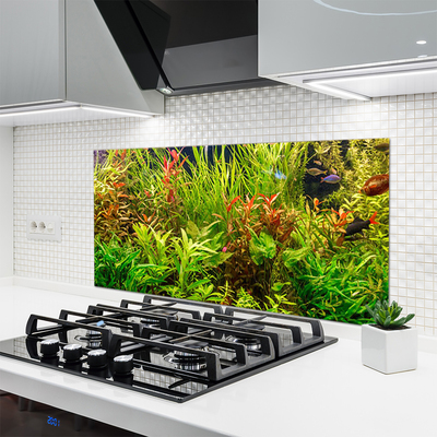 Moderne keuken achterwand Aquarium visplanten