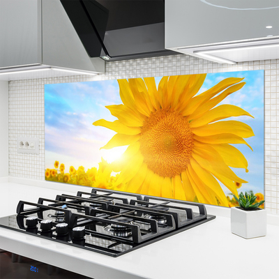 Moderne keuken achterwand Zonnebloem bloemzon