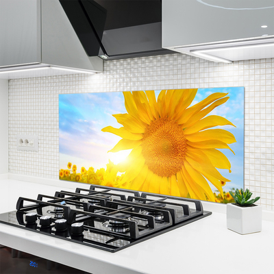 Moderne keuken achterwand Zonnebloem bloemzon