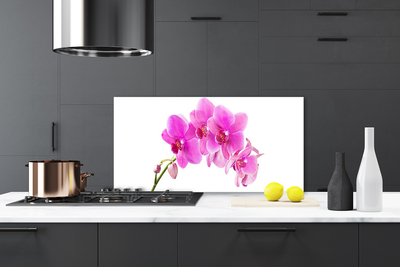 Moderne keuken achterwand Orchidee orchidee bloem