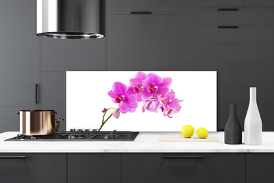 Moderne keuken achterwand Orchidee orchidee bloem