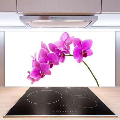 Moderne keuken achterwand Orchidee orchidee bloem