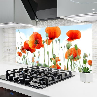 Moderne keuken achterwand Maki flowers meadow field nature