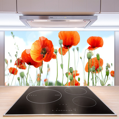 Moderne keuken achterwand Maki flowers meadow field nature