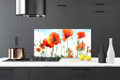 Moderne keuken achterwand Maki flowers meadow field nature