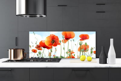 Moderne keuken achterwand Maki flowers meadow field nature