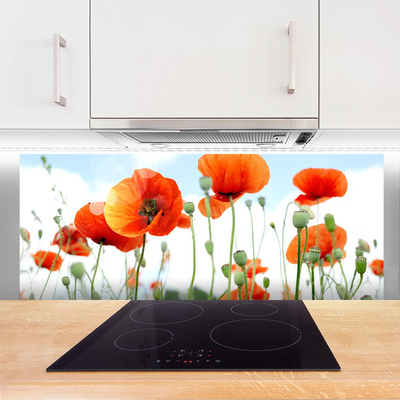 Moderne keuken achterwand Maki flowers meadow field nature