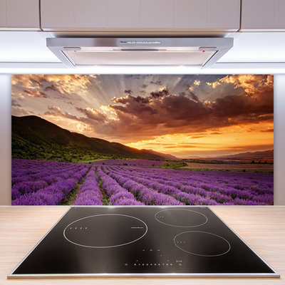 Moderne keuken achterwand Lavendel veld zonsondergang