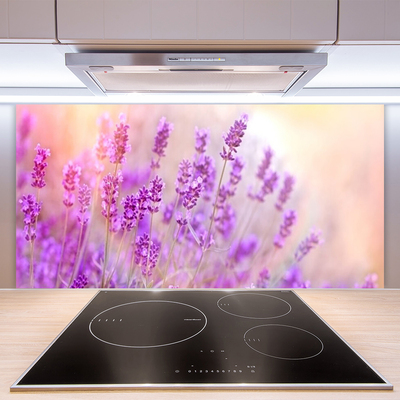 Moderne keuken achterwand Lavendelveld van zonbloemen