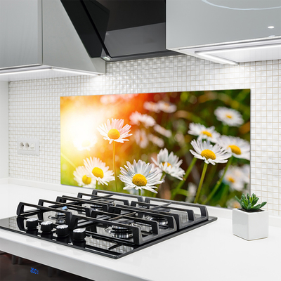 Moderne keuken achterwand Madeliefjes bloemen stralen