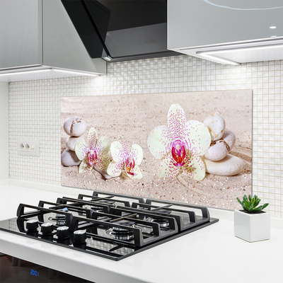 Moderne keuken achterwand Orchidee orchidee zand