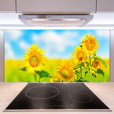 Moderne keuken achterwand Zonnebloem bloeit natuur