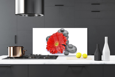 Moderne keuken achterwand Rode gerbera bloemen
