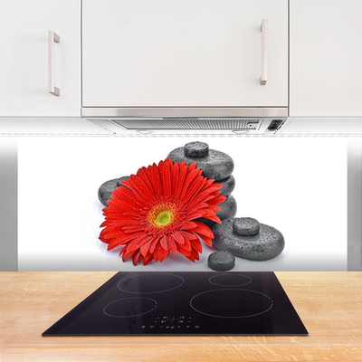 Moderne keuken achterwand Rode gerbera bloemen