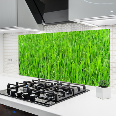 Moderne keuken achterwand Groen gras natuurgras