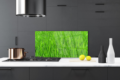 Moderne keuken achterwand Groen gras natuurgras