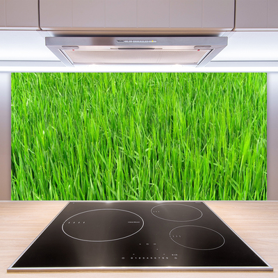 Moderne keuken achterwand Groen gras natuurgras