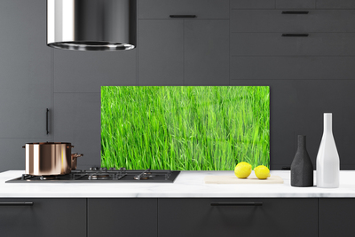 Moderne keuken achterwand Groen gras natuurgras