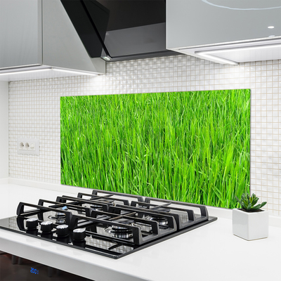 Moderne keuken achterwand Groen gras natuurgras
