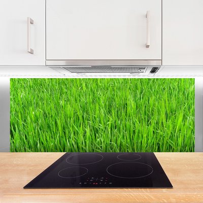 Moderne keuken achterwand Groen gras natuurgras