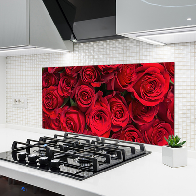 Moderne keuken achterwand Rode rozen bloemen natuur