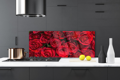 Moderne keuken achterwand Rode rozen bloemen natuur