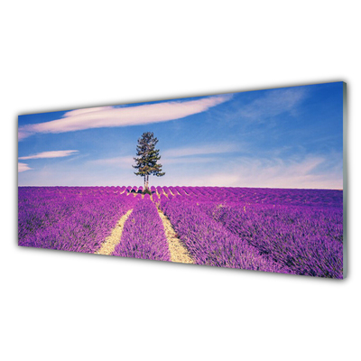 Moderne keuken achterwand Gebied van lavendel meadow tree