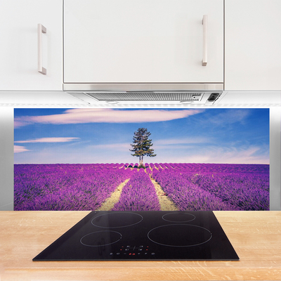 Moderne keuken achterwand Gebied van lavendel meadow tree