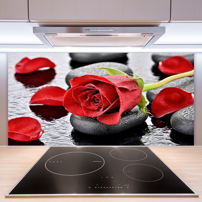 Moderne keuken achterwand Rode roos bloem