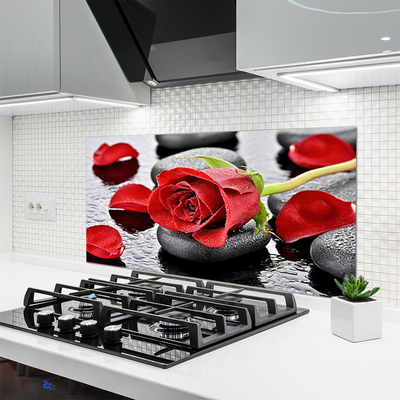 Moderne keuken achterwand Rode roos bloem