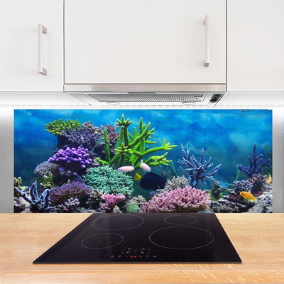 Moderne keuken achterwand Aquarium vis onder water