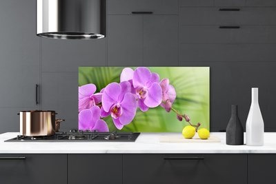 Moderne keuken achterwand Orchidee orchideeën bloemen