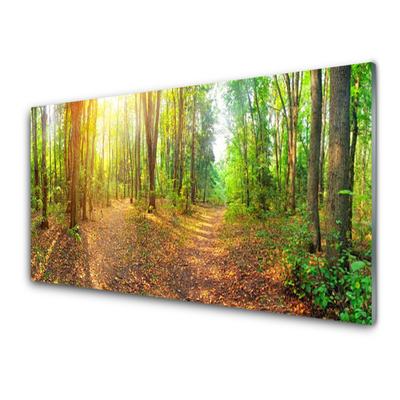 Moderne keuken achterwand Sun nature forest path