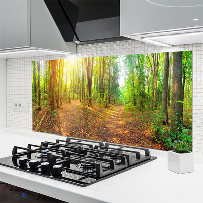 Moderne keuken achterwand Sun nature forest path