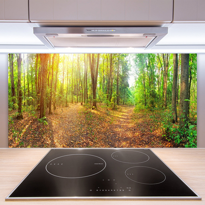 Moderne keuken achterwand Sun nature forest path