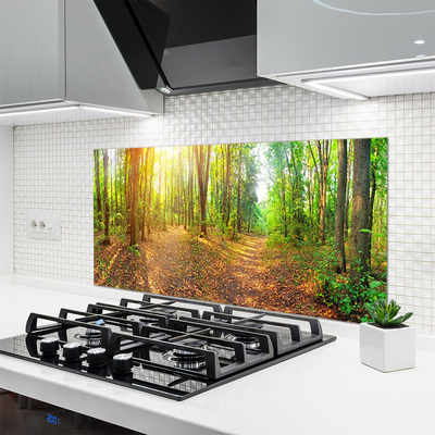 Moderne keuken achterwand Sun nature forest path