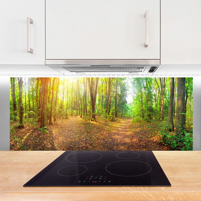 Moderne keuken achterwand Sun nature forest path