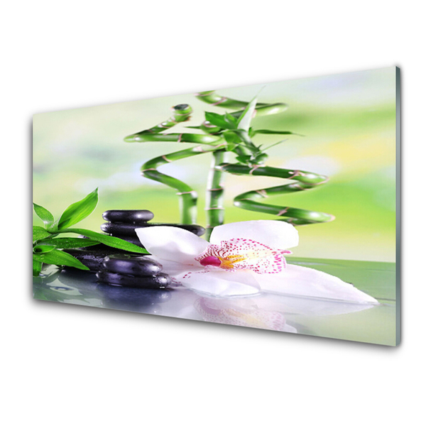 Moderne keuken achterwand Orchidee bamboo zen spa