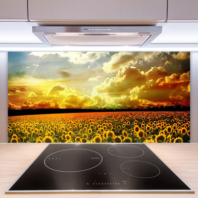 Moderne keuken achterwand Veld zonnebloemen landschap