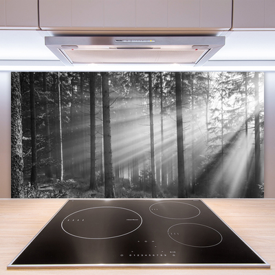 Moderne keuken achterwand Bos natuurstralen zon