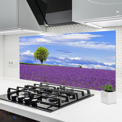Moderne keuken achterwand Gebied van de natuur van de lavendelboom