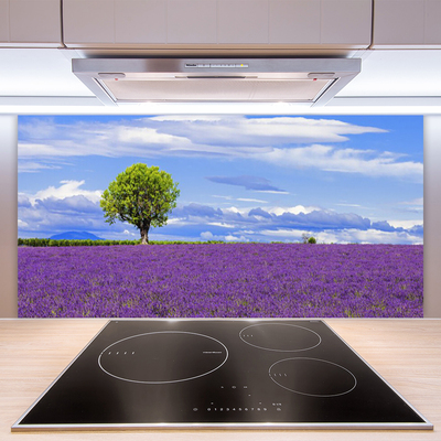 Moderne keuken achterwand Gebied van de natuur van de lavendelboom