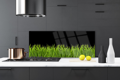 Moderne keuken achterwand Groen gras natuur